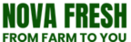 novafreshuae.com