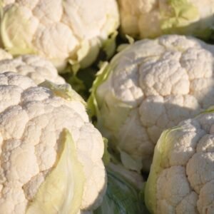 vegetables, cauliflower, food, cauliflower, cauliflower, cauliflower, cauliflower, cauliflower