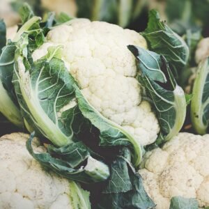 cauliflower, brassica oleracea var, botrytis l, cheese cabbage, flowering cabbage, grape cabbage, minaret cabbage, italian cabbage, vegetables, food, nourishment, vegetarian, fresh, vegetable plants, bio, agriculture, vegetable cabbage, flower sprouts, cauliflower, cauliflower, cauliflower, cauliflower, cauliflower