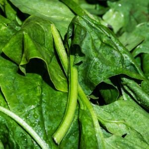 spinach, leaf spinach, vegetables, leaves, fresh, vegetables spinach, green, vegetarian, nature, vegan, vitamins, healthy, yummy, nourishment