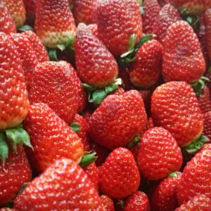 Bright red strawberries piled closely, showcasing their fresh and juicy texture.